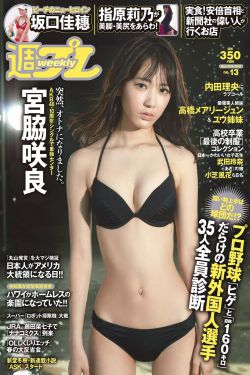 P站PROBRUN软件